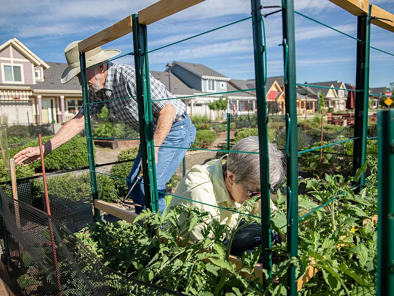 Lifestyle | Community Garden