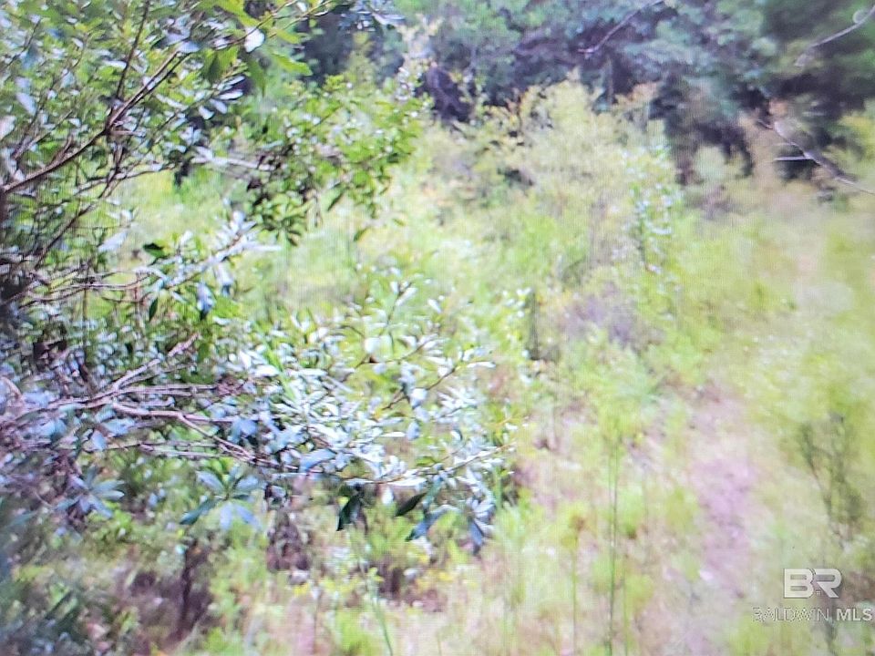 2nd image of 0 Juniper Rd Lot 37