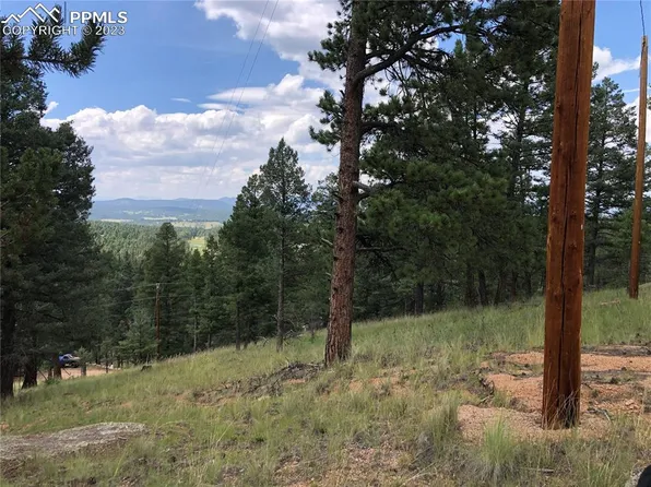 135 Junction Cir, Florissant, CO 80816