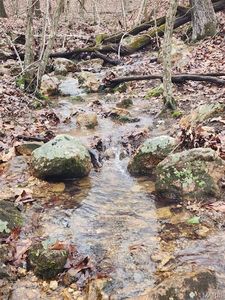 1972 County Road 101 Rd, Ironton, MO, 63650