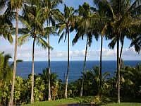 Ocean View with access