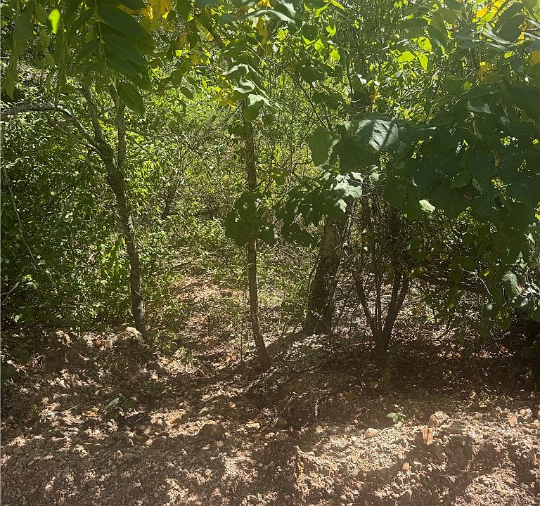 1st image of W Cardinal Ln #25