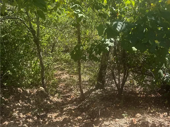W Cardinal Ln #25, Lead Hill, AR 72644
