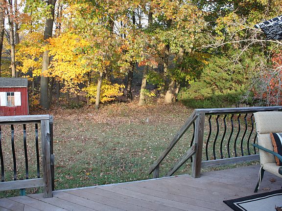 Private wooded backyard