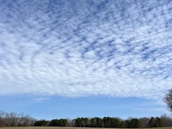 1098 Woodlawn Rd Tract 1, Mansfield, GA 30055