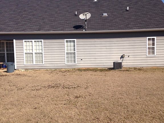 Back yard