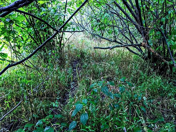 5th image of Lot 2 County Road V