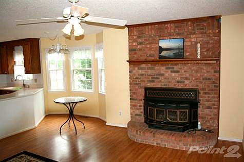 Wood Burning Fire Place!