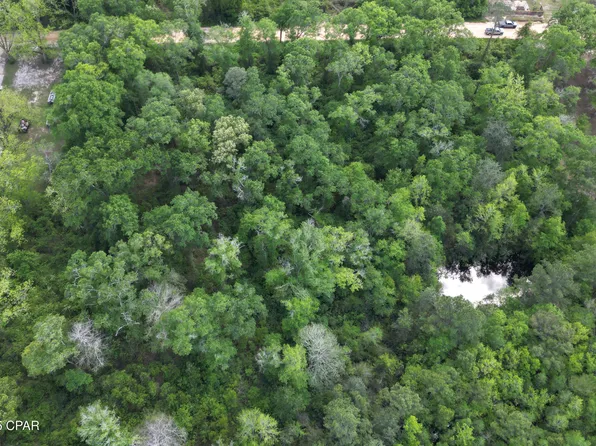 0 Aj Steverson Rd, Bonifay, FL 32425