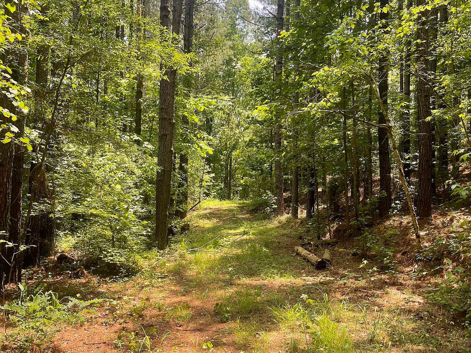 0 Clay Rd, Monticello, GA 31064 Zillow