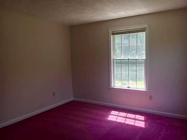 10 Forest Dr — Photo 17