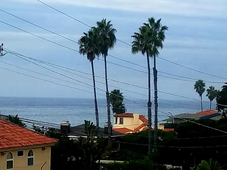 view