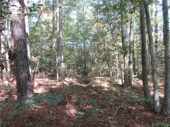 139-A-17 Bell Rd #17, Jarratt, VA 23867