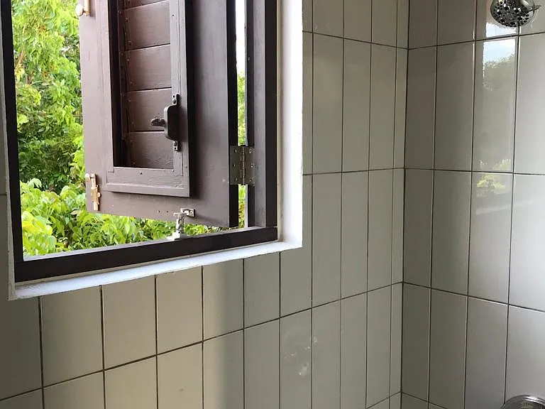 Swing open window in shower