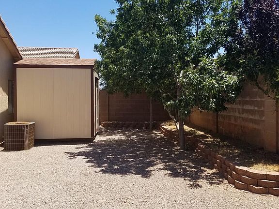 View in back yard. big storage shed, green and purple shade