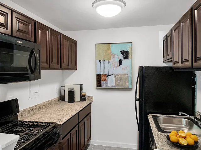 Espresso styled kitchen