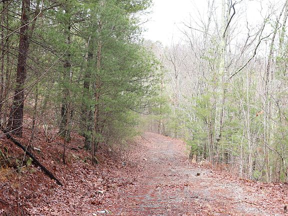 3rd image of 1212-1232 Steer Creek Rd