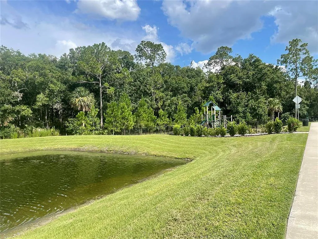 1077 Amber Leaf Trail, Wesley Chapel, FL 33544 — Photo 3