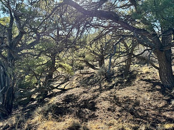 2nd image of LOT 2336 Sandoval Road