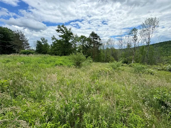 232 & 238 Grippen Hill Rd, Vestal, NY 13850