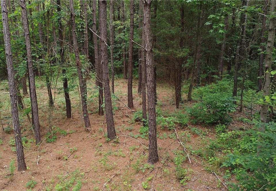 1st image of LOT 10 Lee Road 88