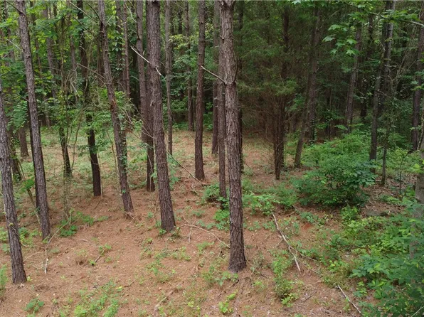 LOT 10 Lee Road 88, Waverly, AL 36879