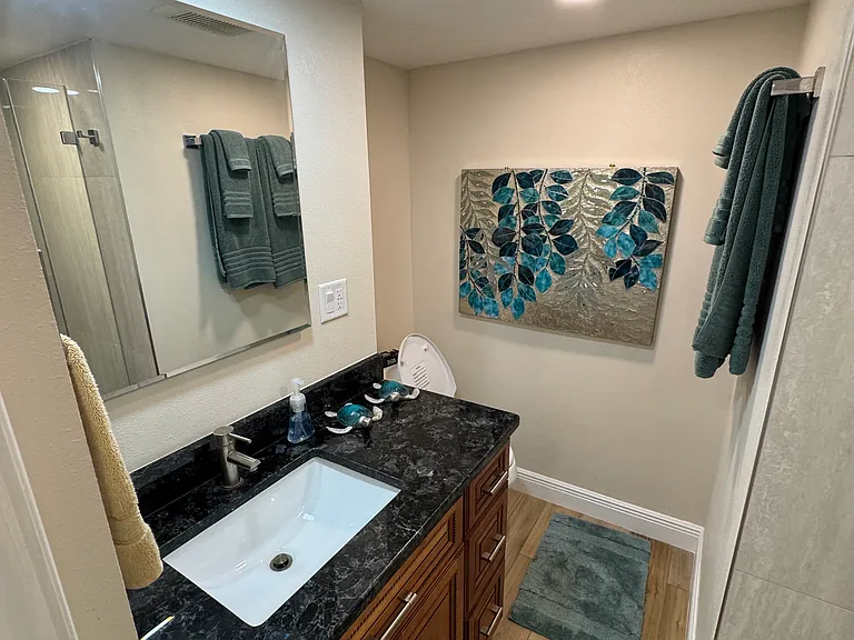 Guest bathroom
