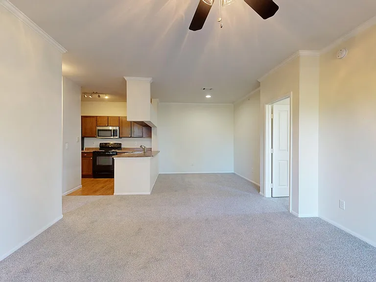 Apartment dining and living room with plush carpet flooring.