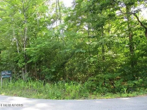 LOT 12 Red Cloud Rd, Ten Mile, TN 37880