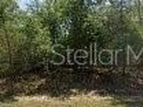 8545 N Wallingford Ave Lot 16, Dunnellon, FL 34434