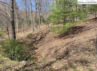 Tbd Laurel Mountain Dr, Sparta, NC 28675
