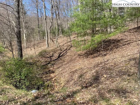 TBD Laurel Mountain Drive, Sparta, NC 28675