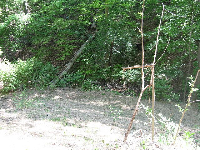 2nd image of Hickory Rd