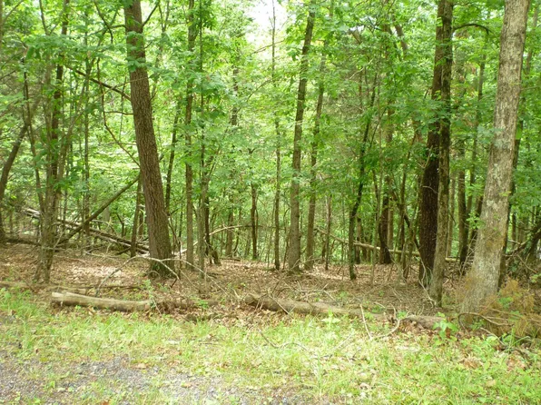 179 Stuart Dr, Basye, VA 22810