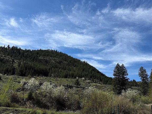 3rd image of 2 x Alder Road
