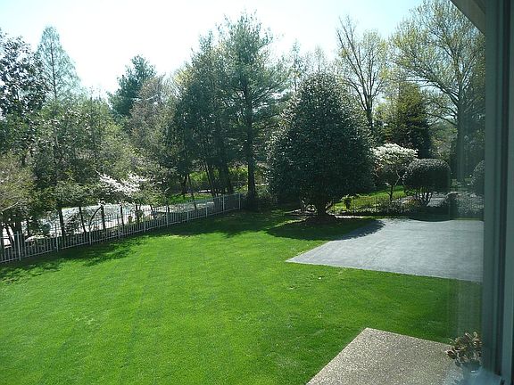 Kid & Pet Sized Backyard