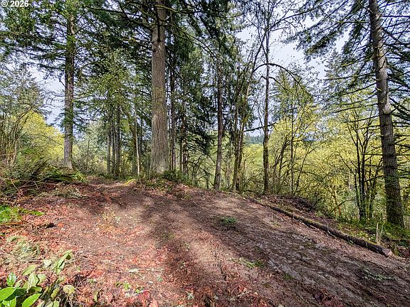 3rd image of 0 NE Finalburg Rd