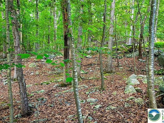 5th image of Decker Rd #690