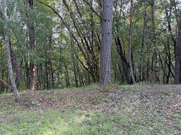 25380 Sherwood Road, Willits, CA 95490