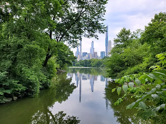 Rented by Bond New York | media 4