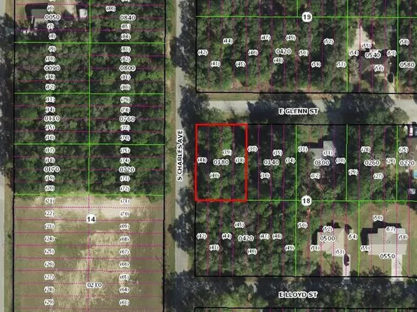3022 E GLENN STREET LOT 38, INVERNESS, FL 34453