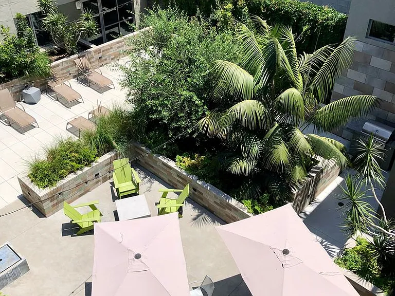 Olea — Photo 29