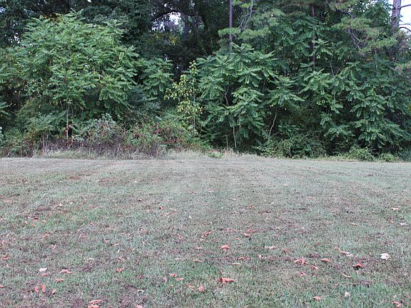3rd image of 4109 Garden Dr