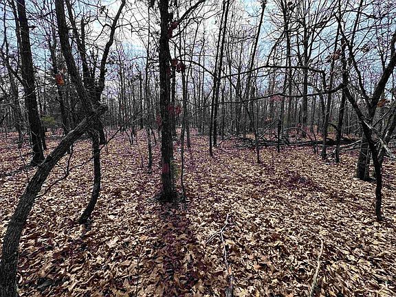 5th image of Claxton Rd