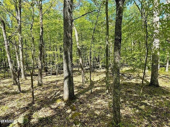 3rd image of LOT 24 Green Meadow Dr