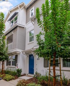 337 Wild Rose Way, Milpitas, CA, 95035