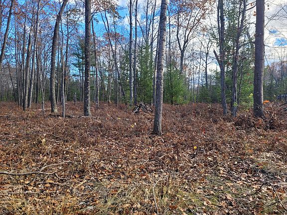5th image of LOT 8 County Road 646