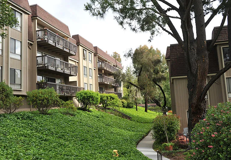 Seven Oaks — Photo 16