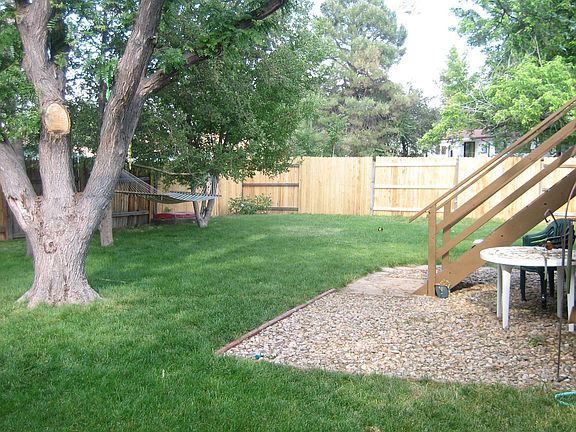 Backyard - rock patio, hammock