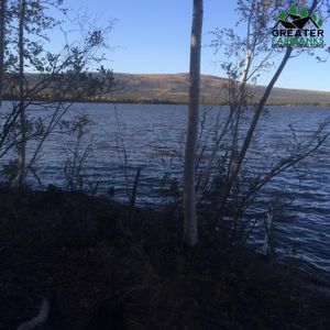 Nhn Minto Lake, Minto, AK, 99758